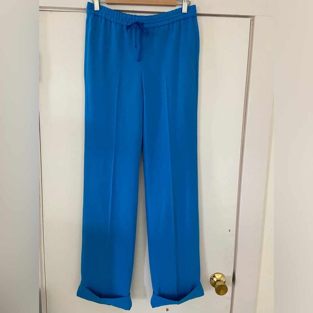 Joseph Pants Size 36